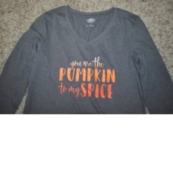 Halloween You Are Pumpkin To My Spice Shirt Large Gray Long Sleeve V-Neck Womens - Picture 2 of 3